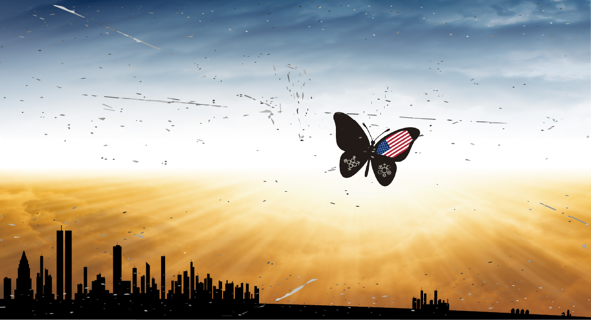 American Butterfly over City