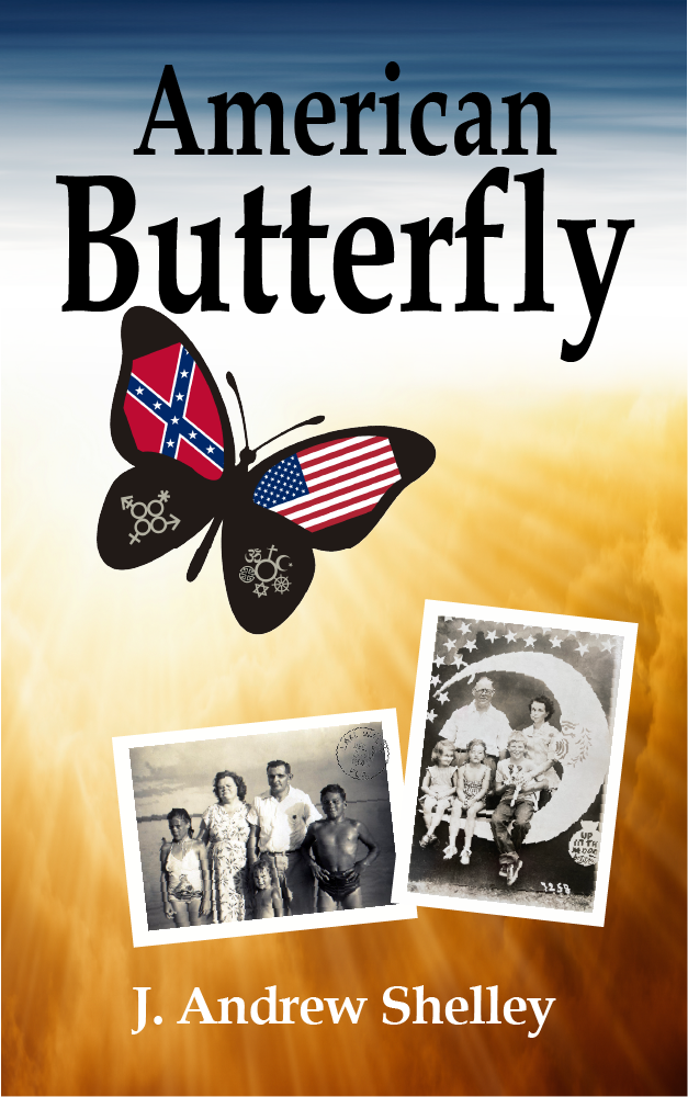 American Butterfly Book Cover